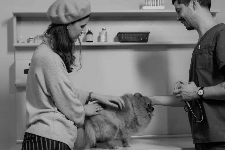 Majiteľka a veterinár pri psovi na vyšetrovacom stole